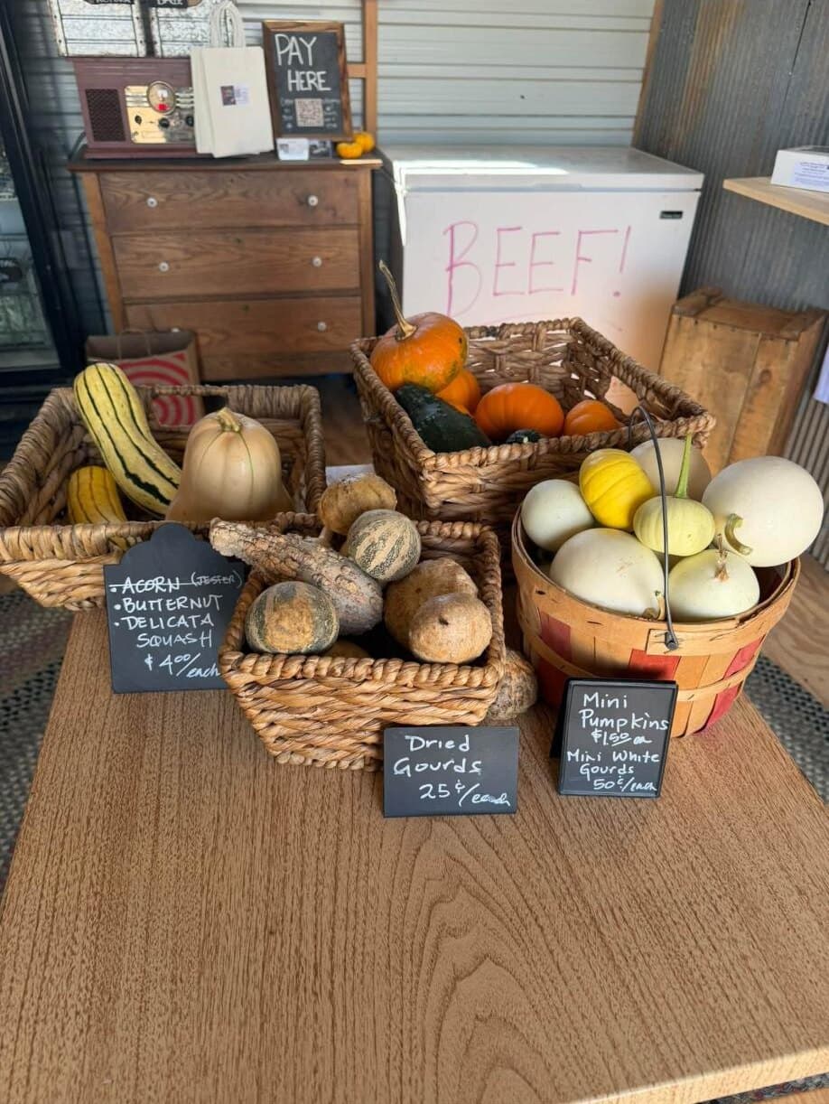 Baskets of squash, pumpkins, and gourds with chalkboard prices in front of the stand's beef freezer